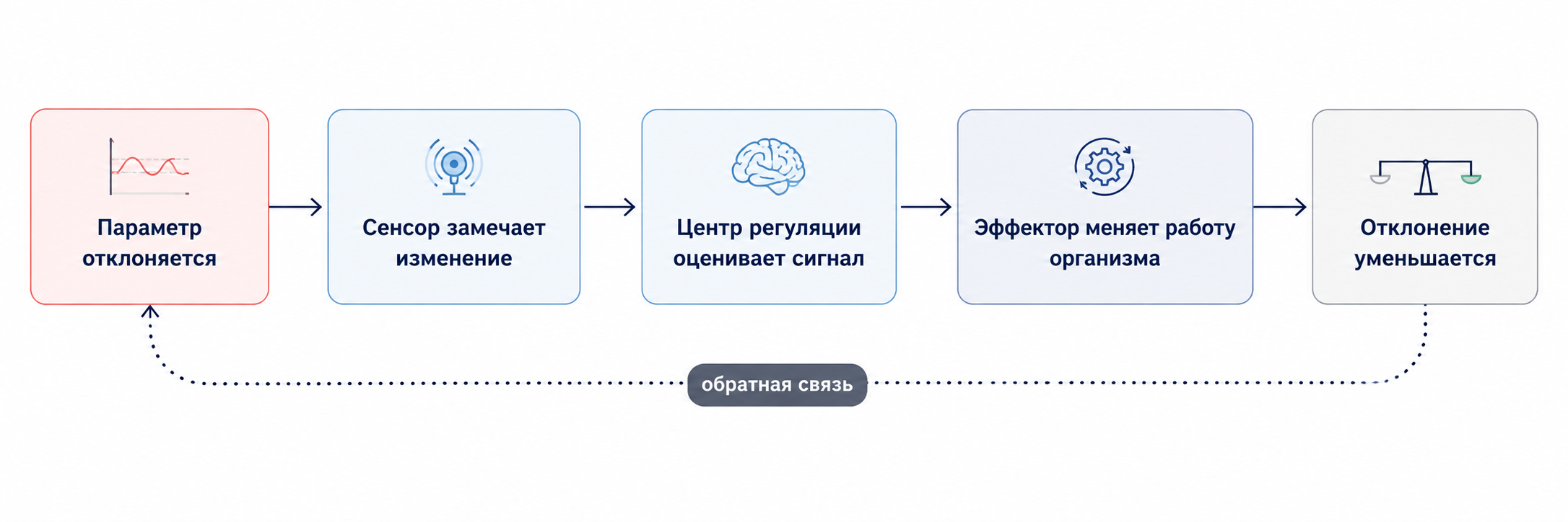 Схема: общий принцип отрицательной обратной связи