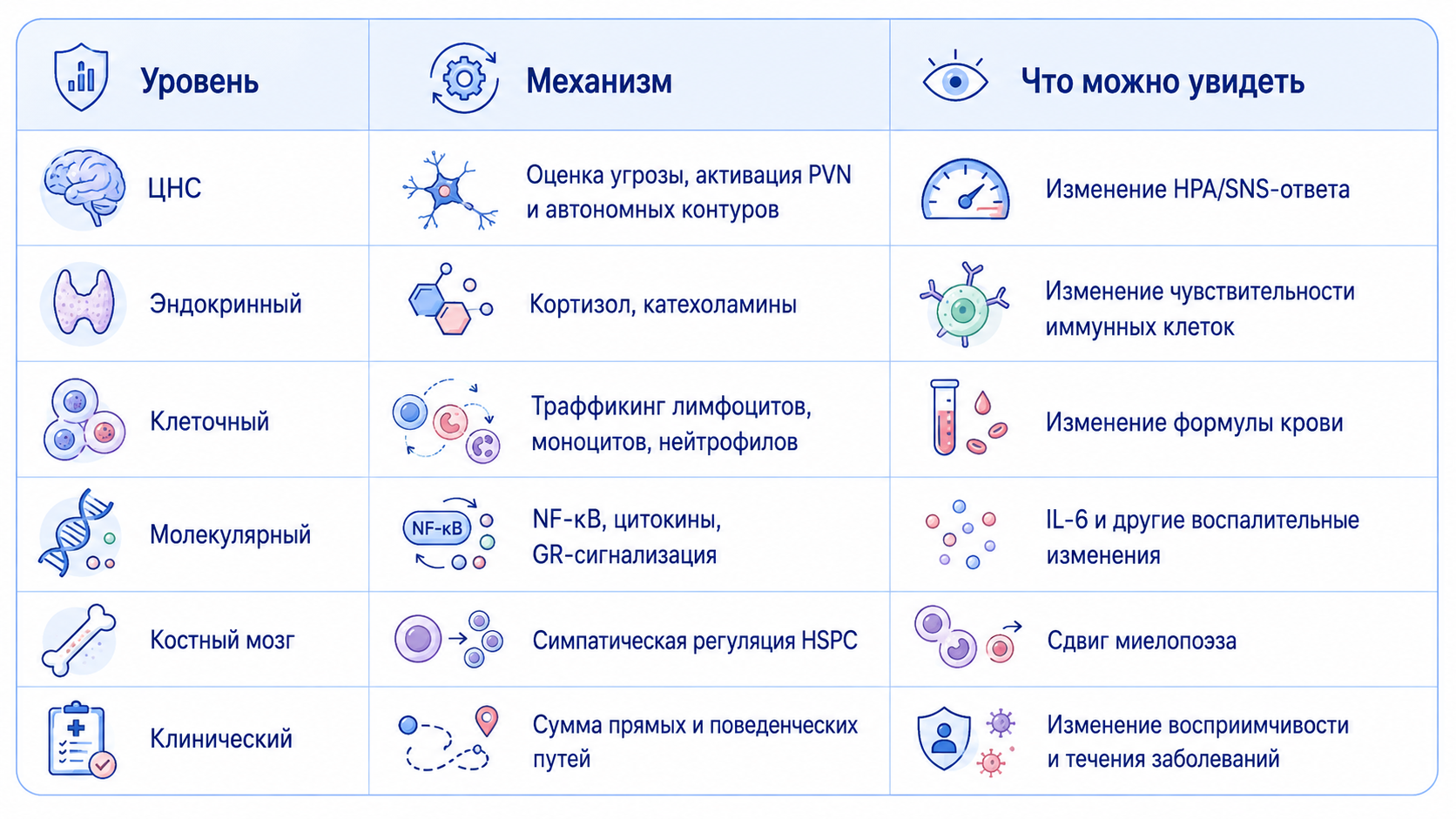 Инфографика: уровень системы → механизм → наблюдаемый эффект